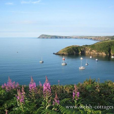 Cwmbrandy Cottage Fishguard Eksteriør bilde