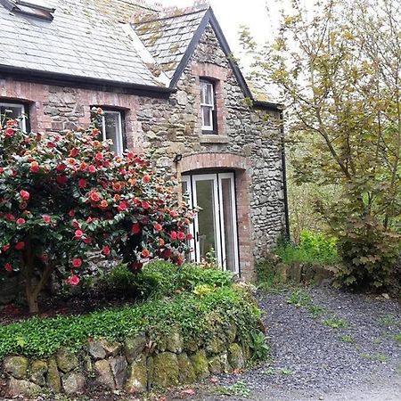 Cwmbrandy Cottage Fishguard Eksteriør bilde