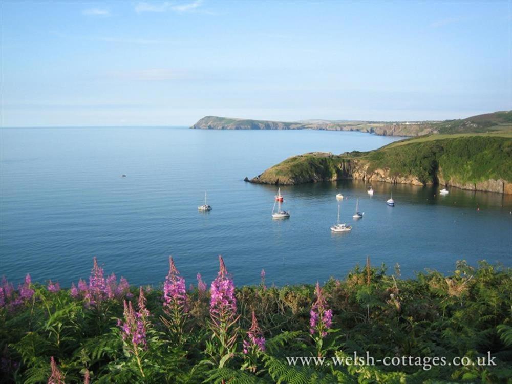 Cwmbrandy Cottage Fishguard Eksteriør bilde