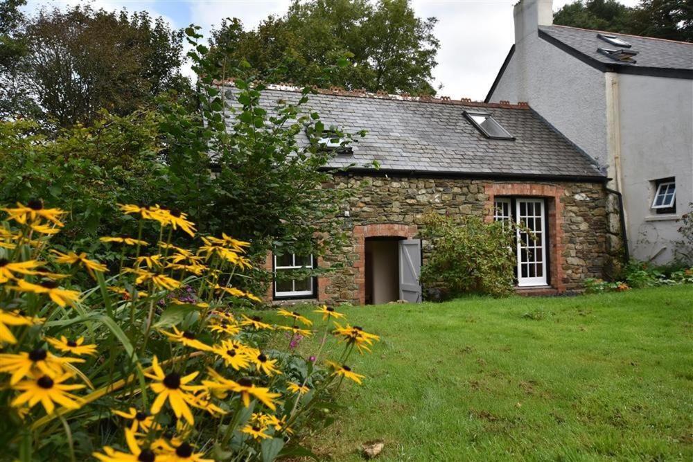 Cwmbrandy Cottage Fishguard Eksteriør bilde