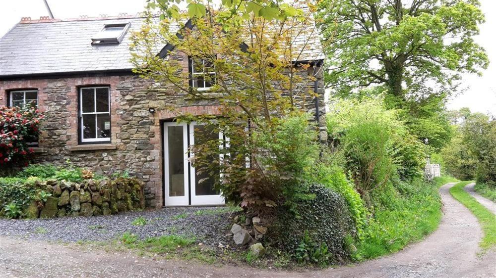 Cwmbrandy Cottage Fishguard Eksteriør bilde
